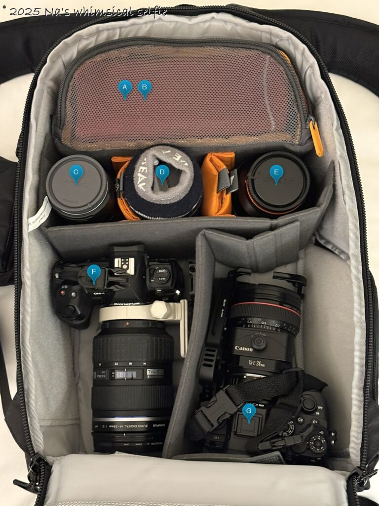 カメラバック(ロープロ フリップサイド 400 AW III)の中身。